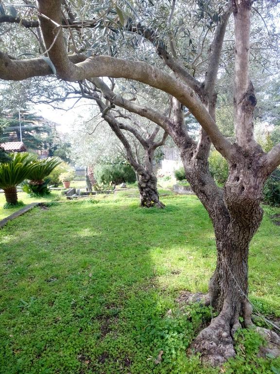 Etna Travellers B&B Mascalucia Eksteriør billede